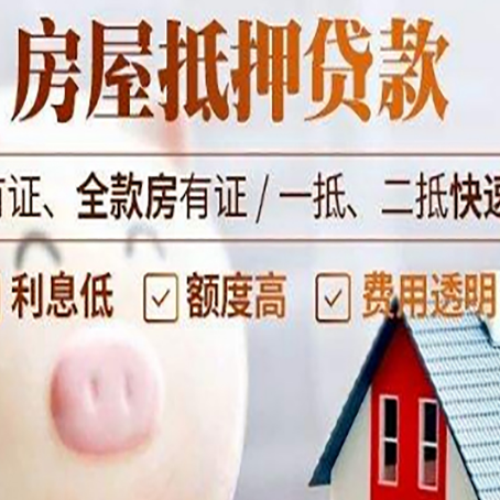 浮梁贷款助贷公司新渝启服成立时间久